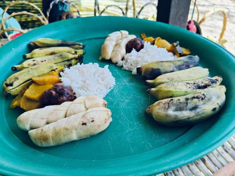 Khaolak Ethical Elephant Sanctuary Snack Making & Feeding - Key Points