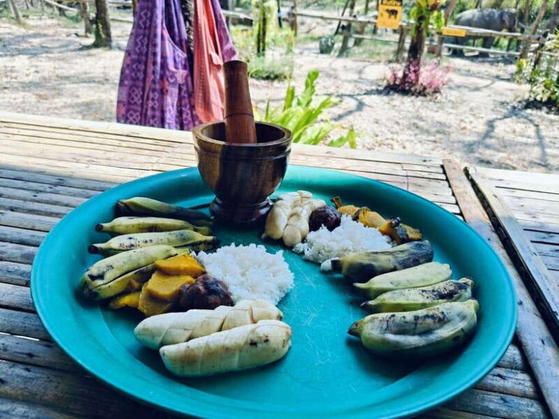 Khaolak Ethical Elephant Sanctuary Snack Making & Feeding - Overview and Context
