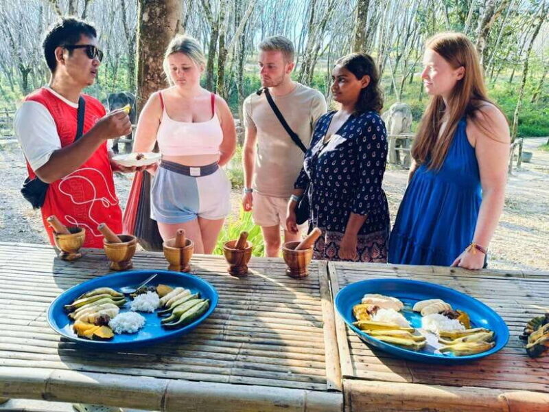Khaolak Ethical Elephant Sanctuary Snack Making & Feeding - The Journey: Itinerary Breakdown