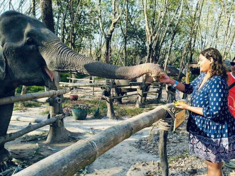 Khaolak Ethical Elephant Sanctuary Snack Making & Feeding - Final Thoughts: The Practical Perspective