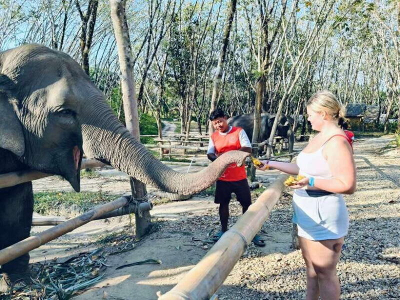 Khaolak Ethical Elephant Sanctuary Snack Making & Feeding - Who Is This Best For?