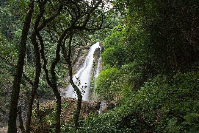 Khaolak Nature & Culture Tour with Lunch - Introduction