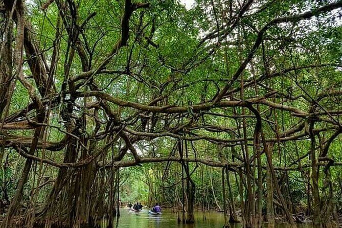 Khaolak Nature & Culture Tour with Lunch - Key Points