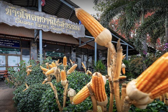KhaoYai National Park 3D2N - Is This Tour Right for You?