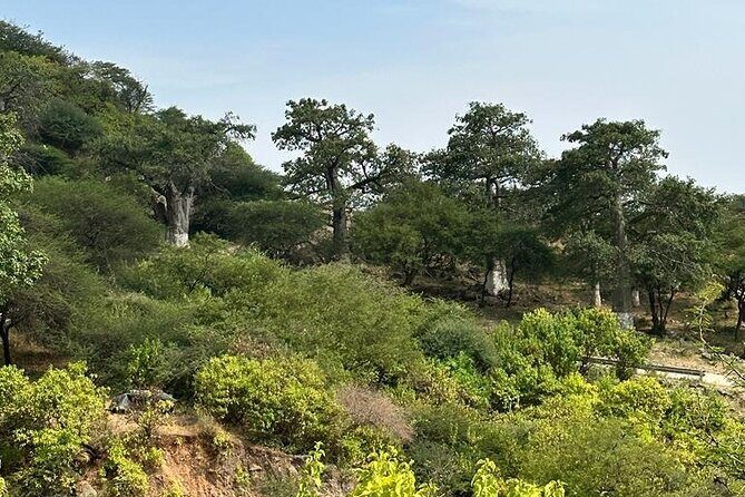 Khareef Salalah- Full Day Mountains and Waterfalls - FAQ