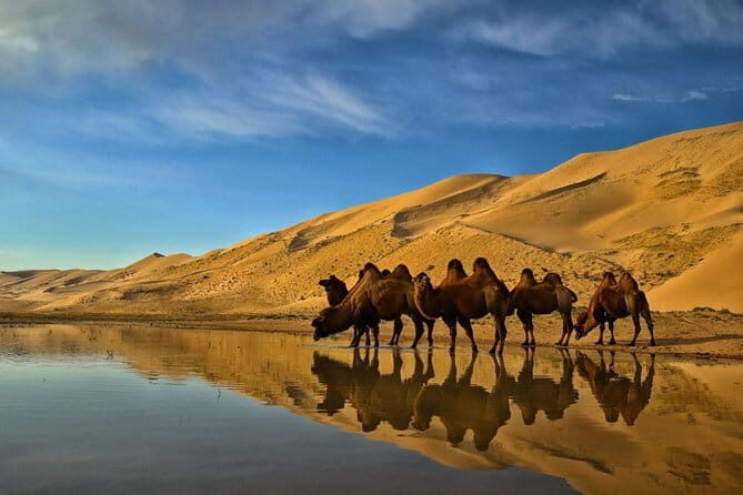 Kharkhorum, Semi-Gobi 2 days 1 night private trip - Why This Tour Offers Great Value