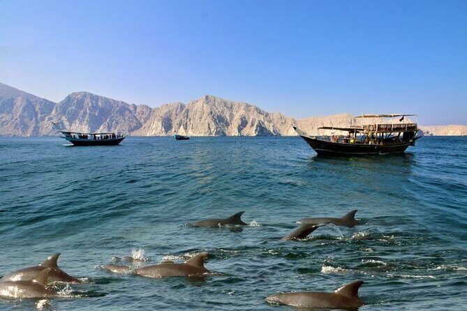 Khasab Musandam Full Day dhow cruise with lunch and Snorkeling - Who Would Enjoy This Tour Most?
