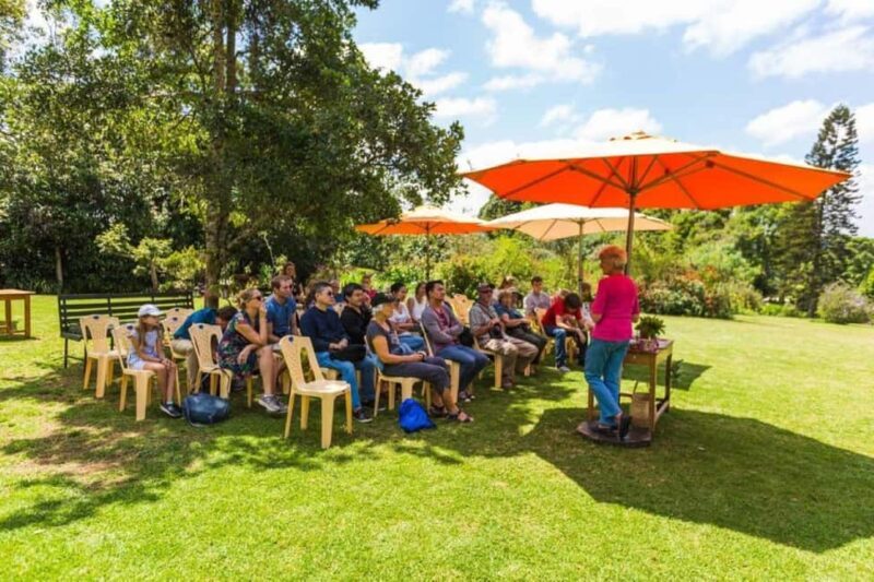 Kiambethu Tea Farm Tour (All Inclusive) - A Genuine Look at the Kiambethu Tea Farm Tour (All Inclusive)