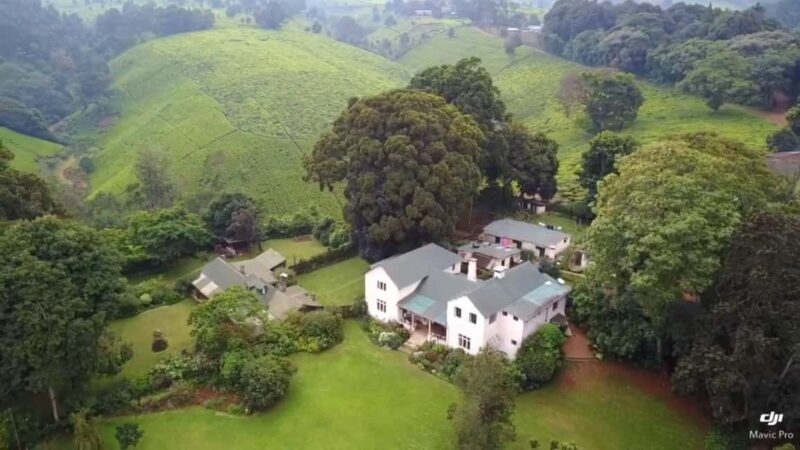 Kiambethu Tea Farm Tour & Lunch - Detailed Review of the Kiambethu Tea Farm Tour & Lunch