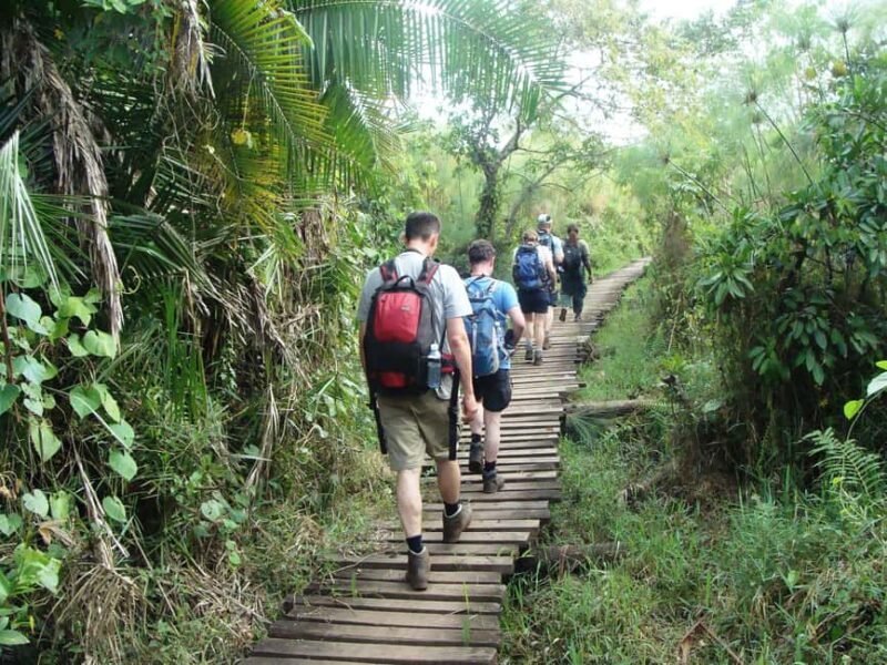 Kibale Forest Park: 3-Day Chimpanzee tracking & Crater lakes - Key Points