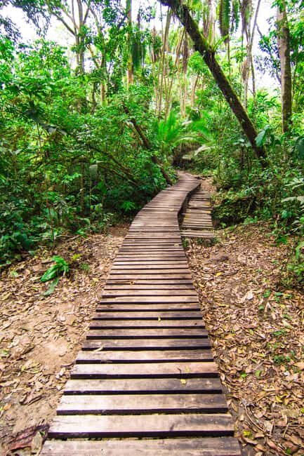 Kibale National Park: 2-Days Chimpanzee Tracking Tour - Introduction: Why This Tour Stands Out