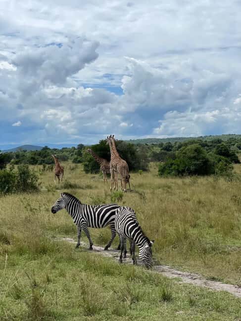 Kigali: 2-Day Akagera National Park Safari with Boat Ride - Transportation and Accommodation