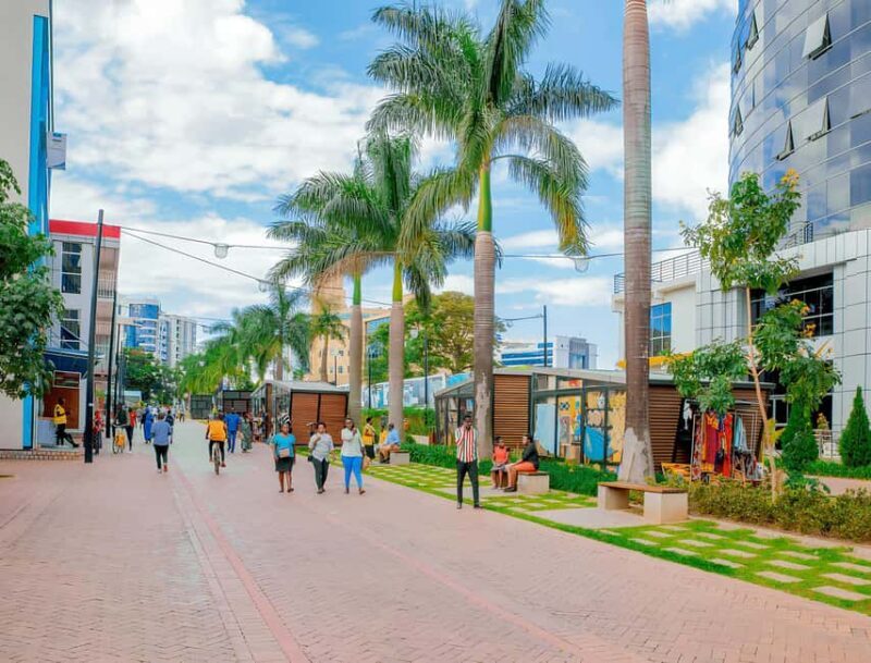 Kigali: 2-Day Gorilla Trekking Safari and City Tour - The Sum Up: Who Should Consider This Tour?