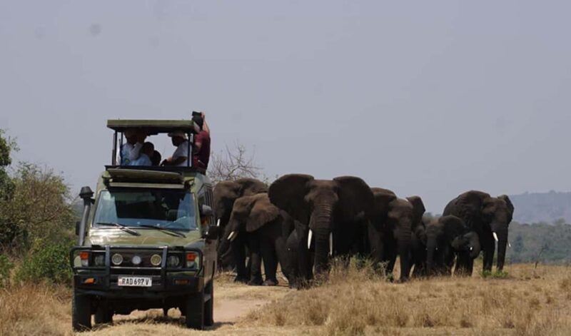 Kigali: 3-Day Akagera National Park Safari with Boat Cruise - Key Points