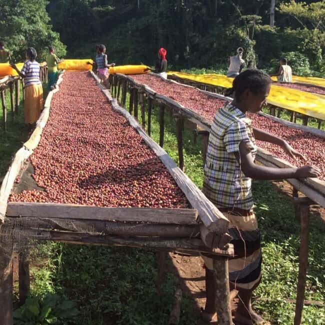 Kigali: City Tour and Coffee Tour experience - Final thoughts