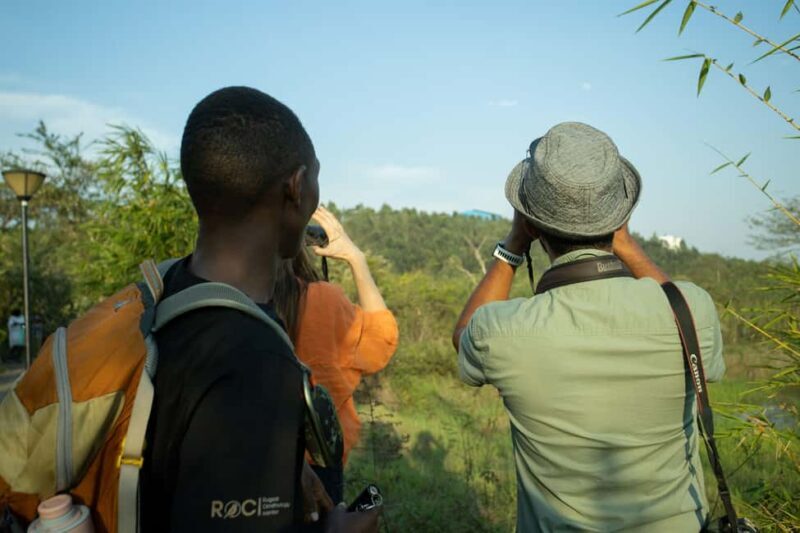 Kigali Eco Park Bird Watching Experience - Key Points