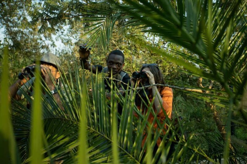 Kigali Eco Park Bird Watching Experience - Authentic Encounters and Personal Stories