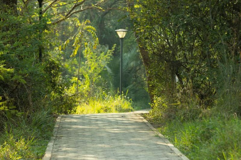 Kigali Eco Park Bird Watching Experience - Timing and Booking Flexibility