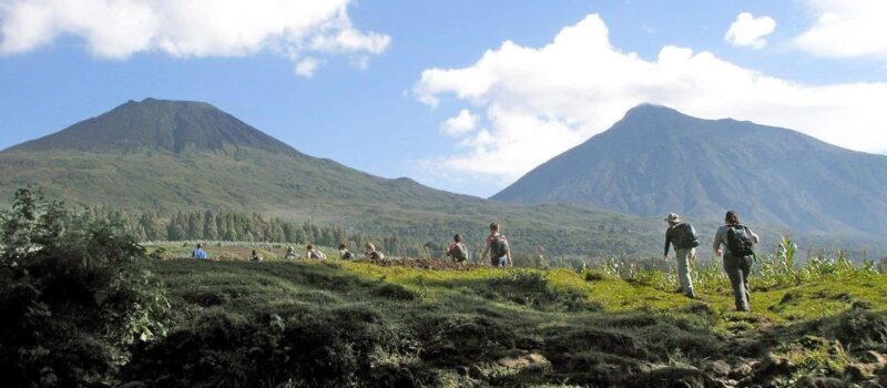 Kigali: Gorilla Trekking in Volcanoes National Park - Key Points