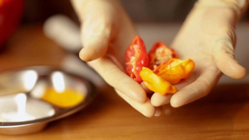 Kigali: Learn How to Make Hot Sauce from Scratch - Who Will Love This Tour?