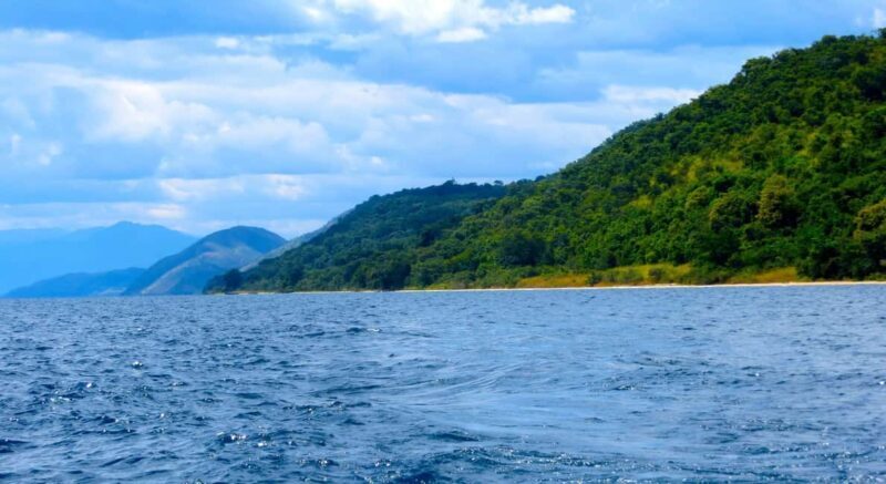 Kigoma: 2-Day Gombe National Park Chimpanzee Trekking - An Honest Look at the 2-Day Gombe Chimpanzee Trek