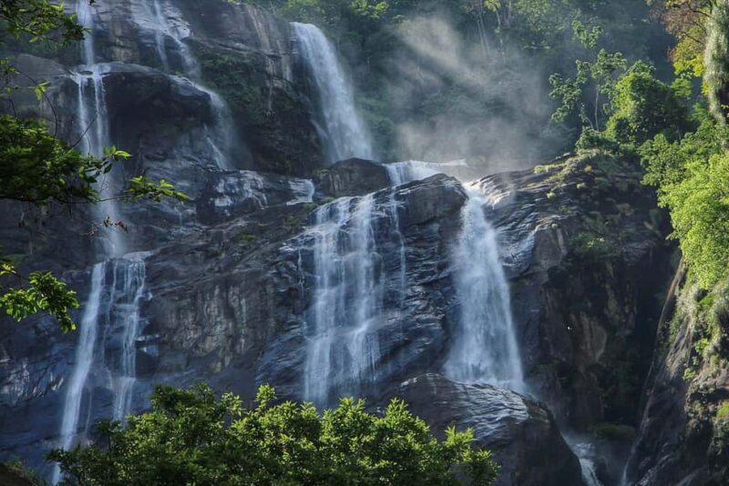 Kigoma: 5-Day Gombe and Mahale National Parks Safari - An In-Depth Look at the 5-Day Safari Experience