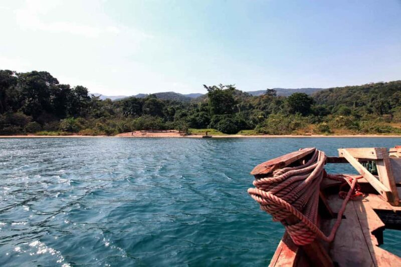 Kigoma: Gombe National Park Day Trip with Chimpanzee Trek - Why This Experience Is Worth It