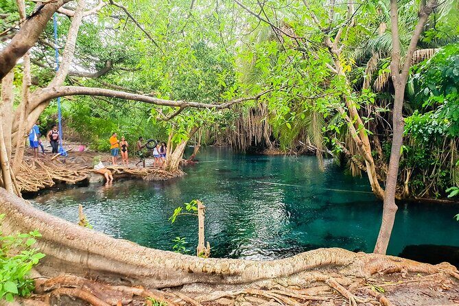 Kikuletwa Hot spring - The Tour Experience in Detail