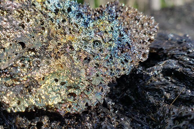 Kilauea Eruption Tour - The Itinerary in Detail
