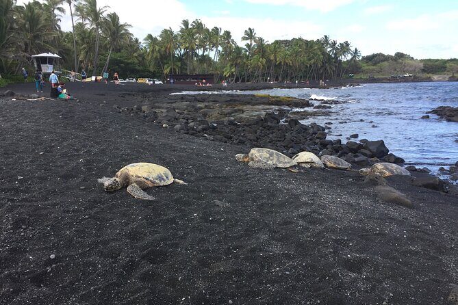 Kilauea Summit to Shore from Kona: Small Group - The Sum Up