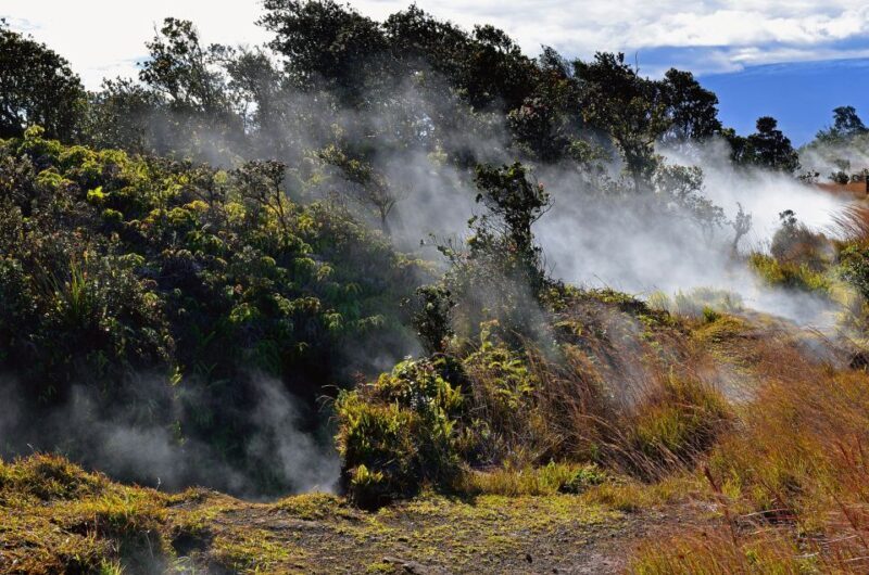 Kilauea: Volcanoes National Park Guided Hike - Who Will Love This Tour?