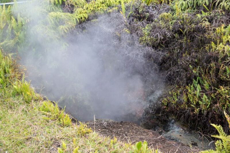 Kilauea: Volcanoes National Park Guided Hike - Final Thoughts
