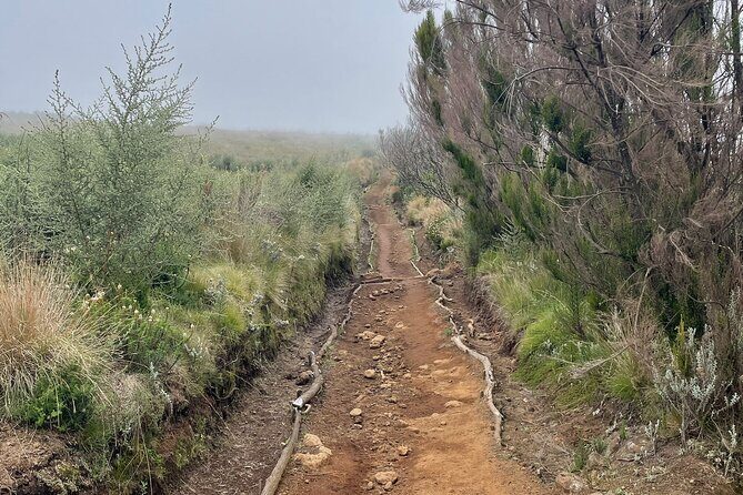 Kilimanjaro 1 Day Hike - FAQs: Practical Questions About the Kilimanjaro 1 Day Hike