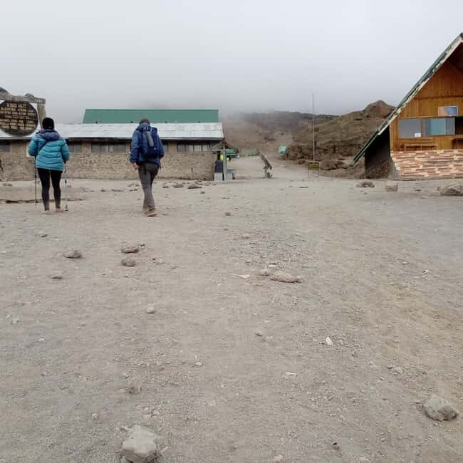Kilimanjaro: 1 Day Shira Route Climbing - Key Points