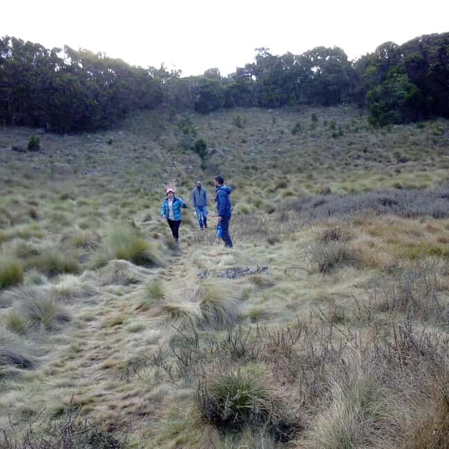 Kilimanjaro: 1 Day Shira Route Climbing - An In-Depth Look at the 1 Day Shira Route Climb