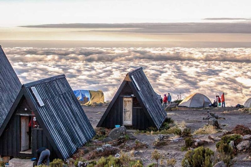 Kilimanjaro: 14-Day Climb and Zanzibar Island Retreat - Whats Included and Whats Not