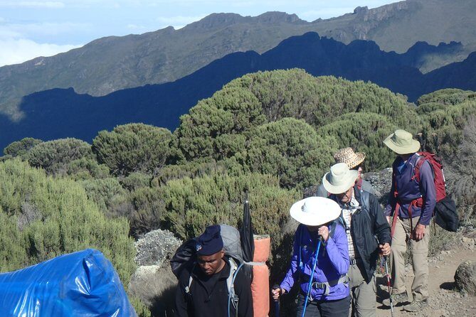 Kilimanjaro 2 days Hike - The Itinerary in Detail: What to Expect