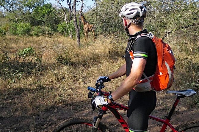 Kilimanjaro 360 - How the Support and Equipment Make a Difference