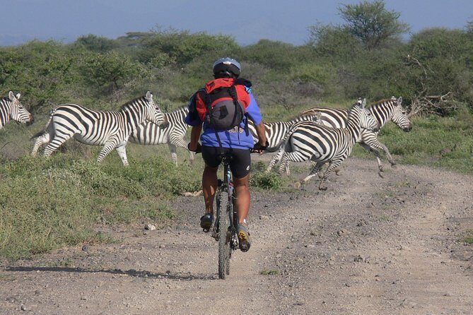 Kilimanjaro 360 - The Value of the Experience