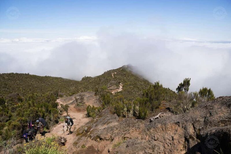 Kilimanjaro: 6-Day Machame Route Tour with Hotel & Transfer - Considerations for Potential Climbers