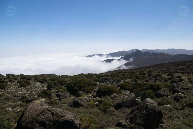 Kilimanjaro: 6-Day Machame Route Tour with Hotel & Transfer - FAQ
