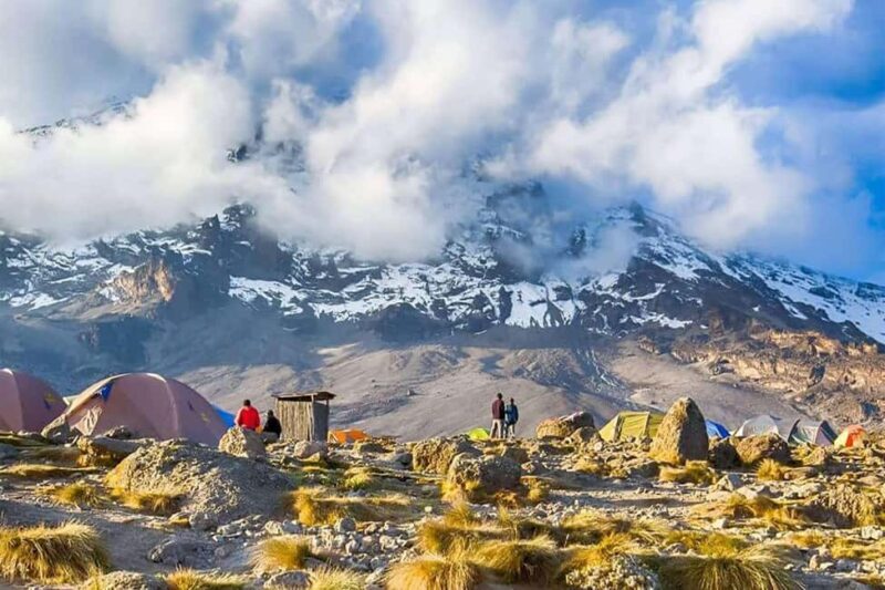 Kilimanjaro: 6-Day Machame Route Trek with Summit Attempt - Day 1: Machame Gate to Machame Camp