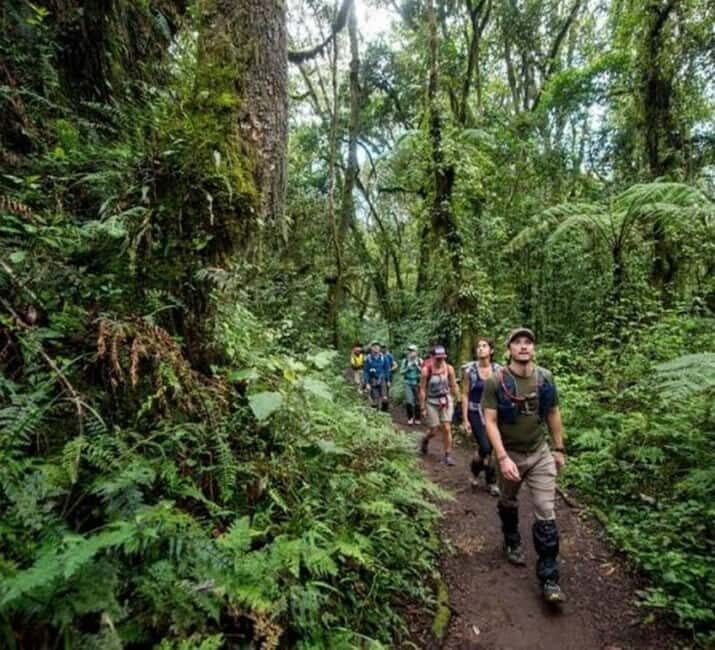Kilimanjaro: 6-Day Marangu Route Climbing Tour - Final Thoughts