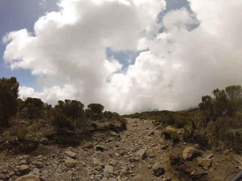 Kilimanjaro: 7-Day Kilimanjaro Umbwe Route Guided Trek - An In-Depth Look at the 7-Day Umbwe Trek