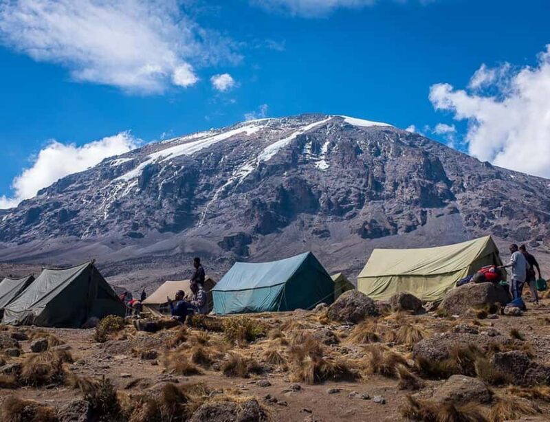 Kilimanjaro: 7-Day Lemosho Route Trek with Summit Attempt - What’s Included and What to Budget For