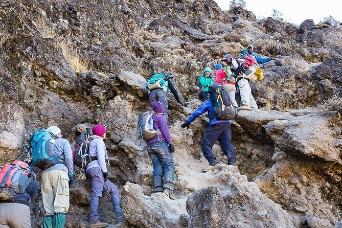 Kilimanjaro 7 Day Private Trekking Experience - Who Should Consider This Tour?
