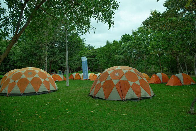 Kilimanjaro 7 Days Machame Route Private Tour - The Itinerary in Detail