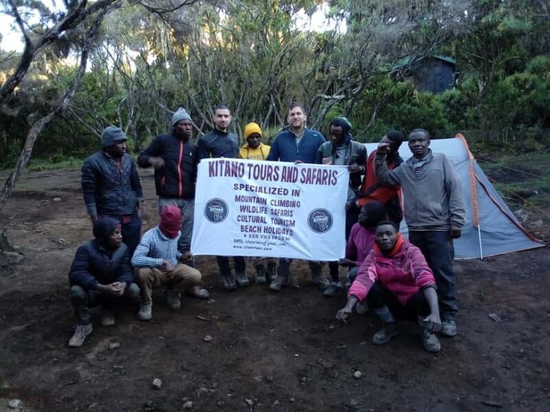 Kilimanjaro: 8-Day Lemosho Route Hiking Tour - The Experience and Value