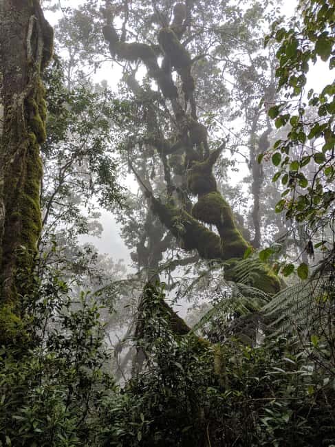 Kilimanjaro: 9-Day Northern Circuit Route Trek - The Value of the Experience