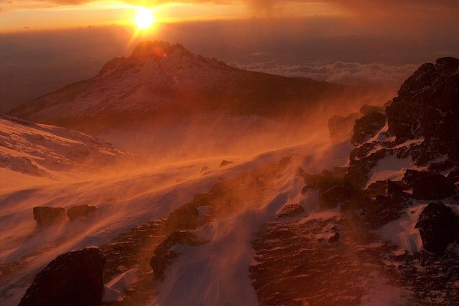 Kilimanjaro Climb - 8 Days Lemosho Route - What Makes This Tour Stand Out?